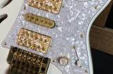 Ibanez Steve Vai PIA-3761 Stallion White-19.jpg